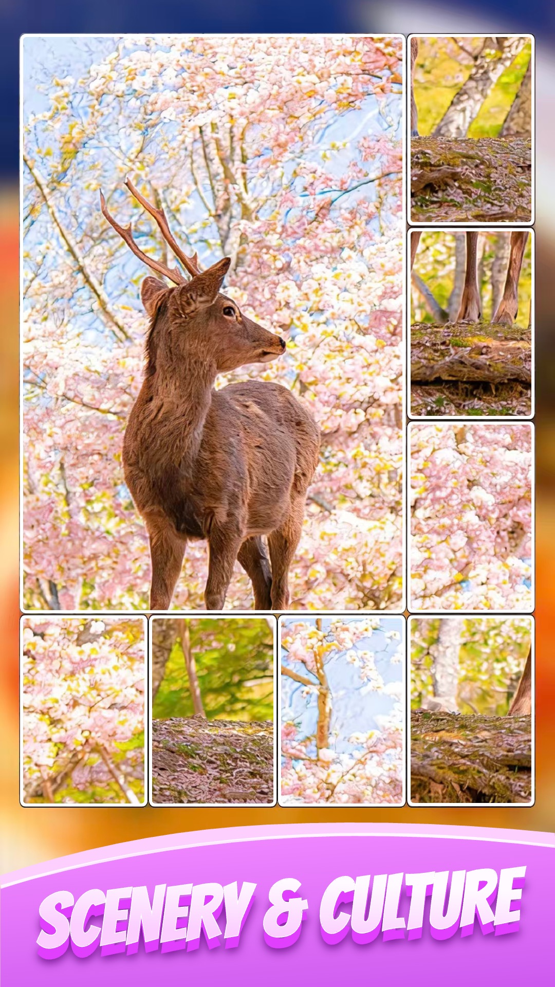 Jigsaw Quest - World Rush screenshot 3